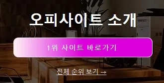 오피가이드 1
