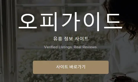 오피가이드 1